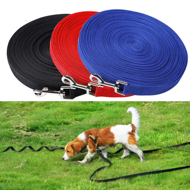 Long-Line Recall Lead in three colors with a dog on grass