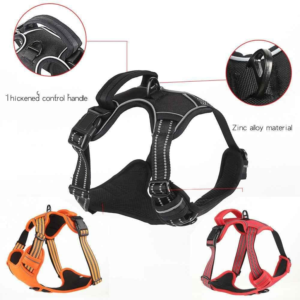 Control handle and metal hardware on the Trailhead No-Pull Harness