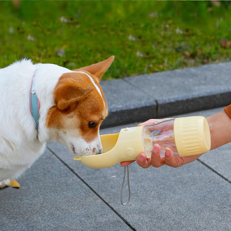 Dog drinking from the Trail Sip bottle on a walk