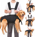 Lift and Carry Support Sling for dogs