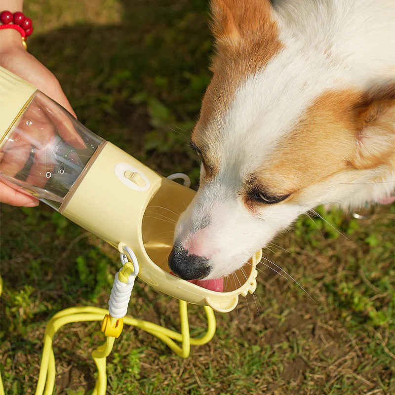 Dog drinking from the Trail Sip water bottle