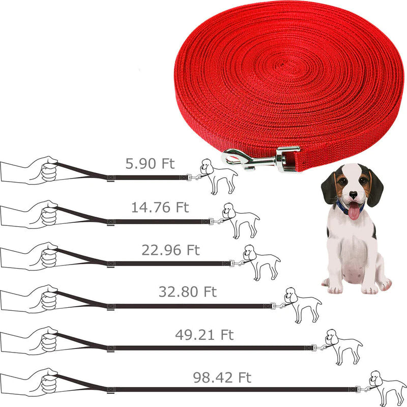 Length chart for the Long-Line Recall Lead, from 6 ft to 100 ft