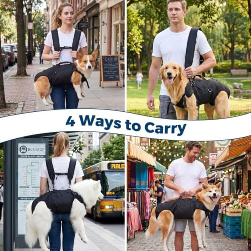 Four ways to carry a dog in the Lift and Carry Support Sling