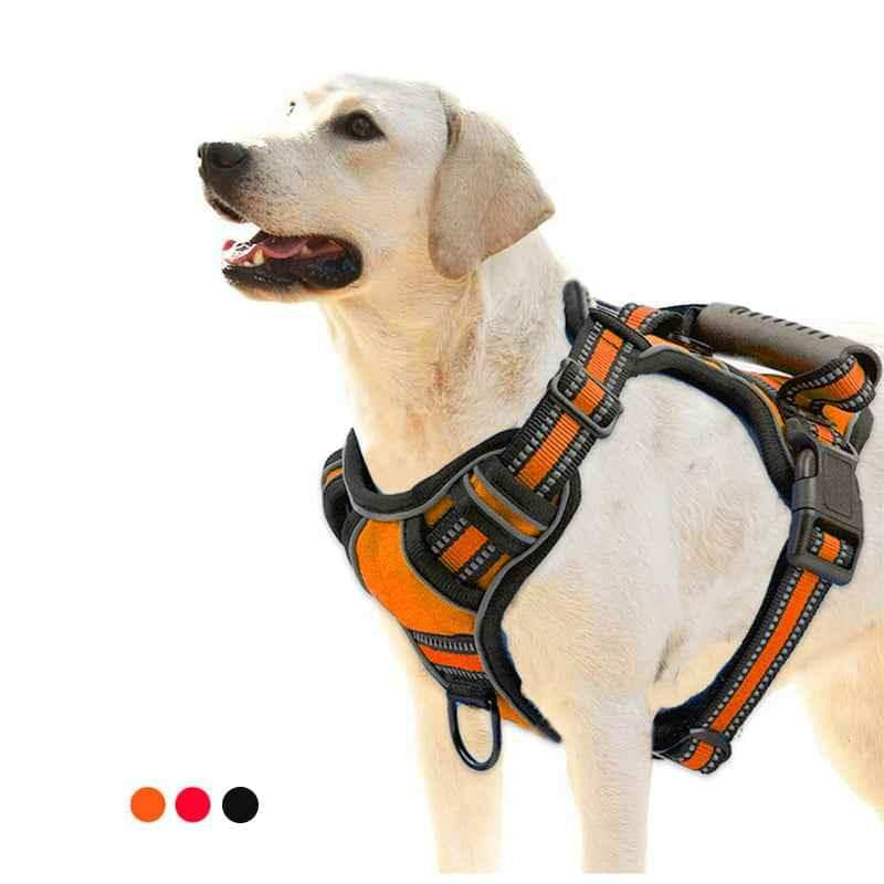 Trailhead No-Pull Harness