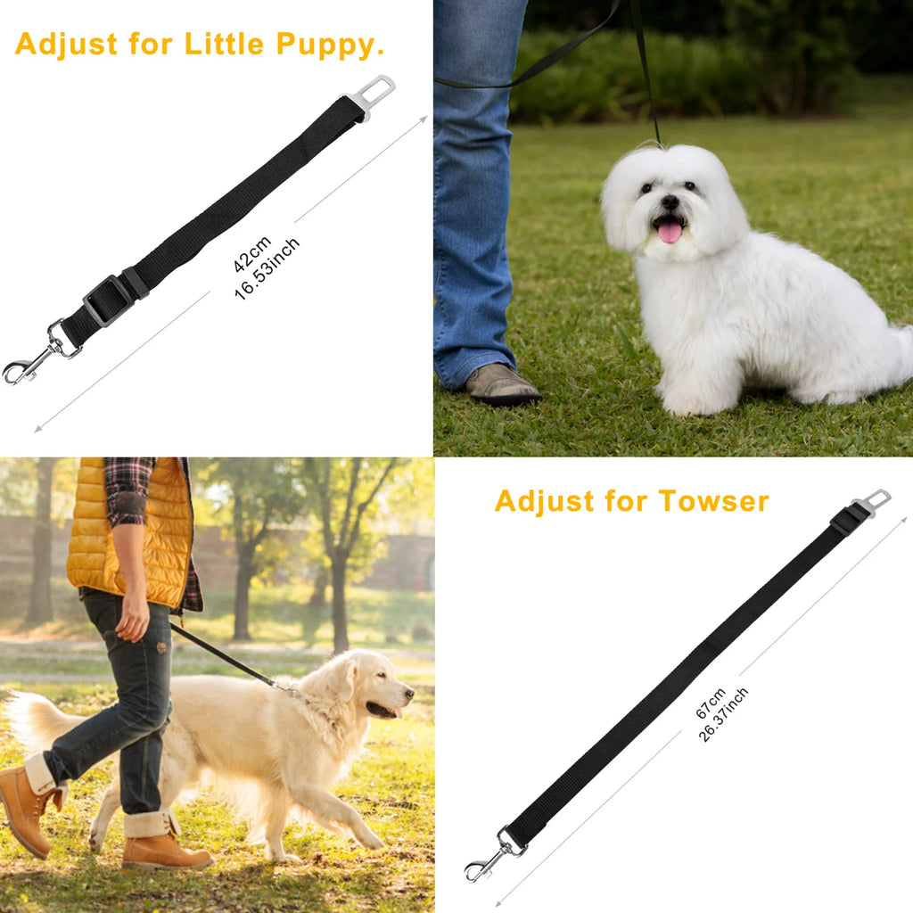 Buckle-In Seat Belt Tether adjusted short and long