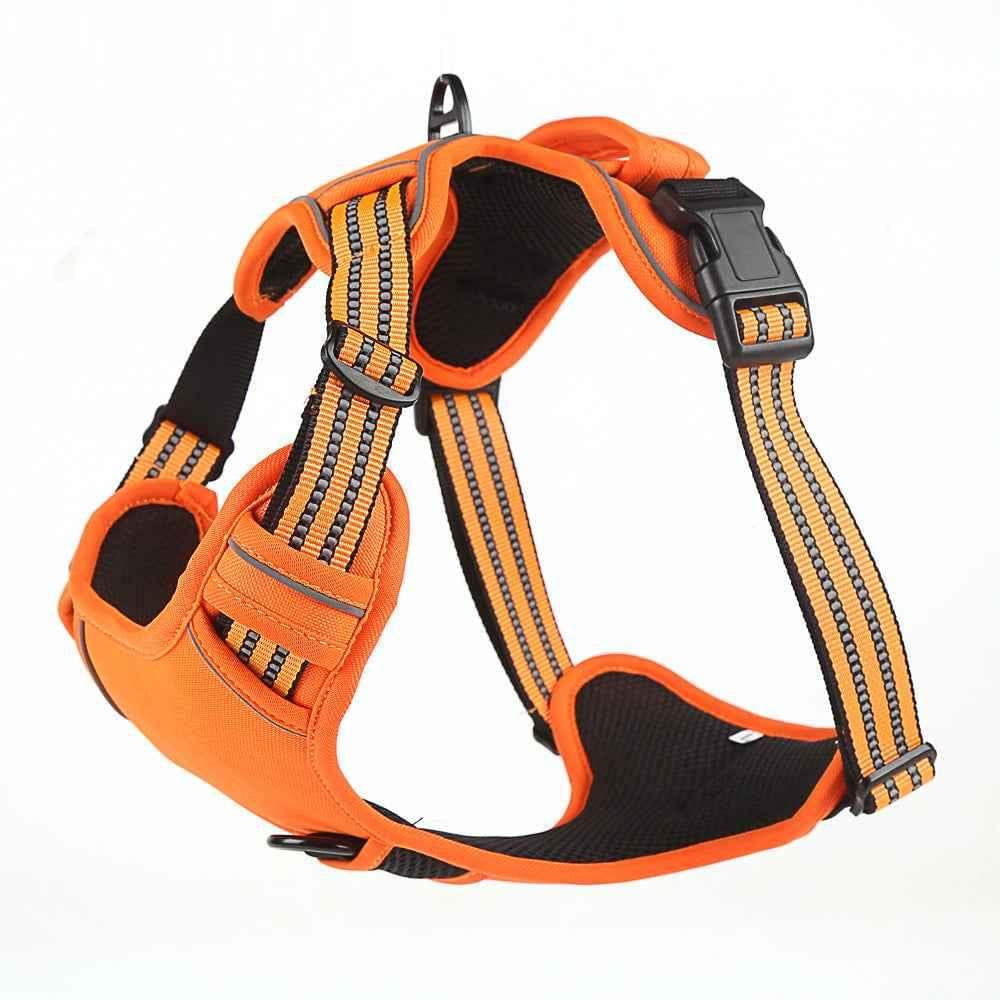 Trailhead No-Pull Harness in orange