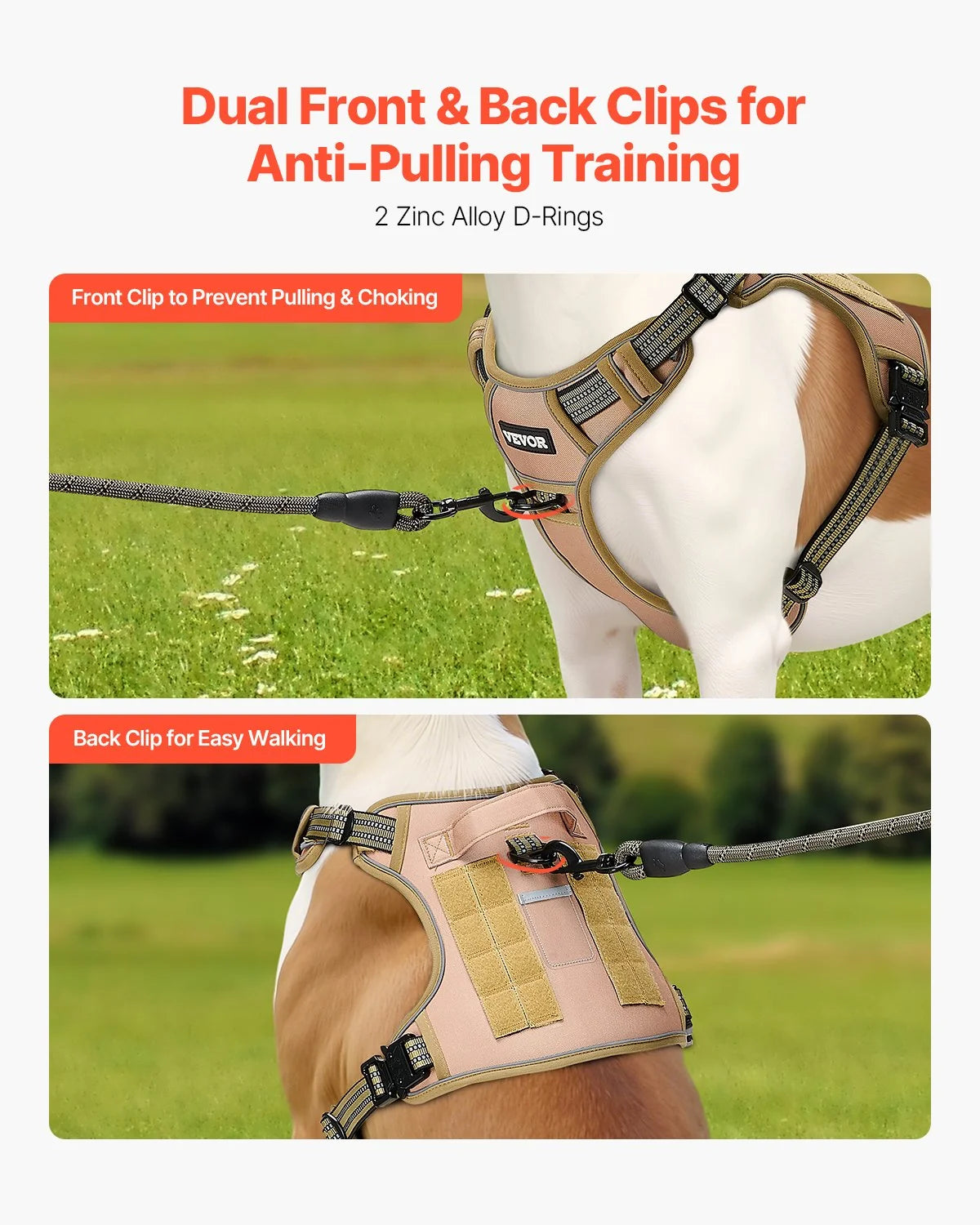 Front and back leash clips on the Basecamp Tactical Harness