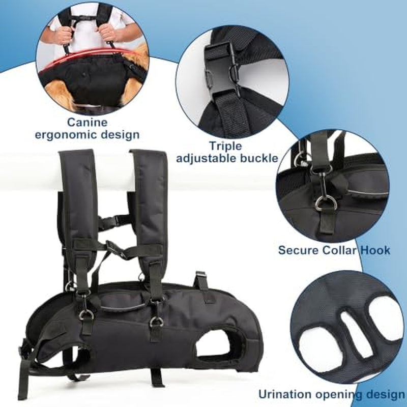 Buckles, collar hook and potty-break opening on the Lift and Carry Support Sling